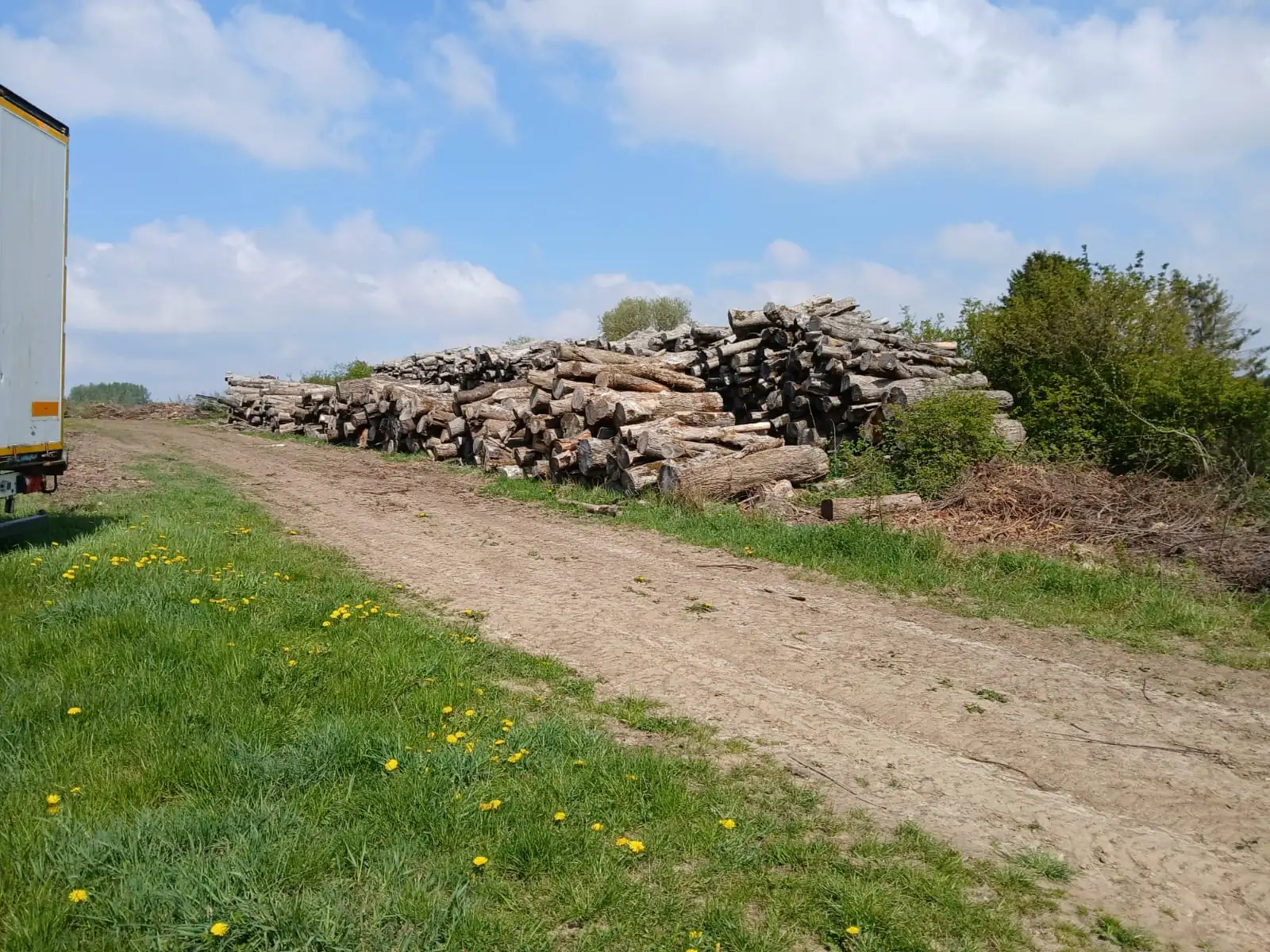 Bois de chauffage en stock — vue large du hangar de séchage